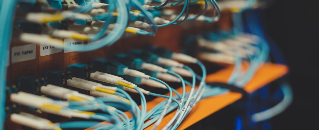 Abacus.AI Releases Open-Weight Models for Enterprises Seeking More Control Over Agent Workloads
