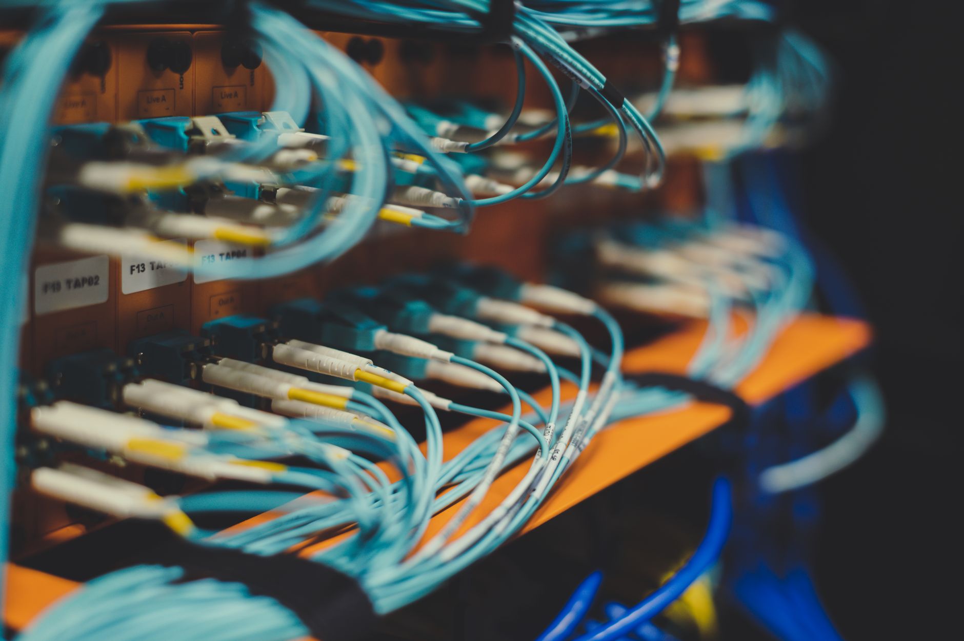 Abacus.AI Releases Open-Weight Models for Enterprises Seeking More Control Over Agent Workloads
