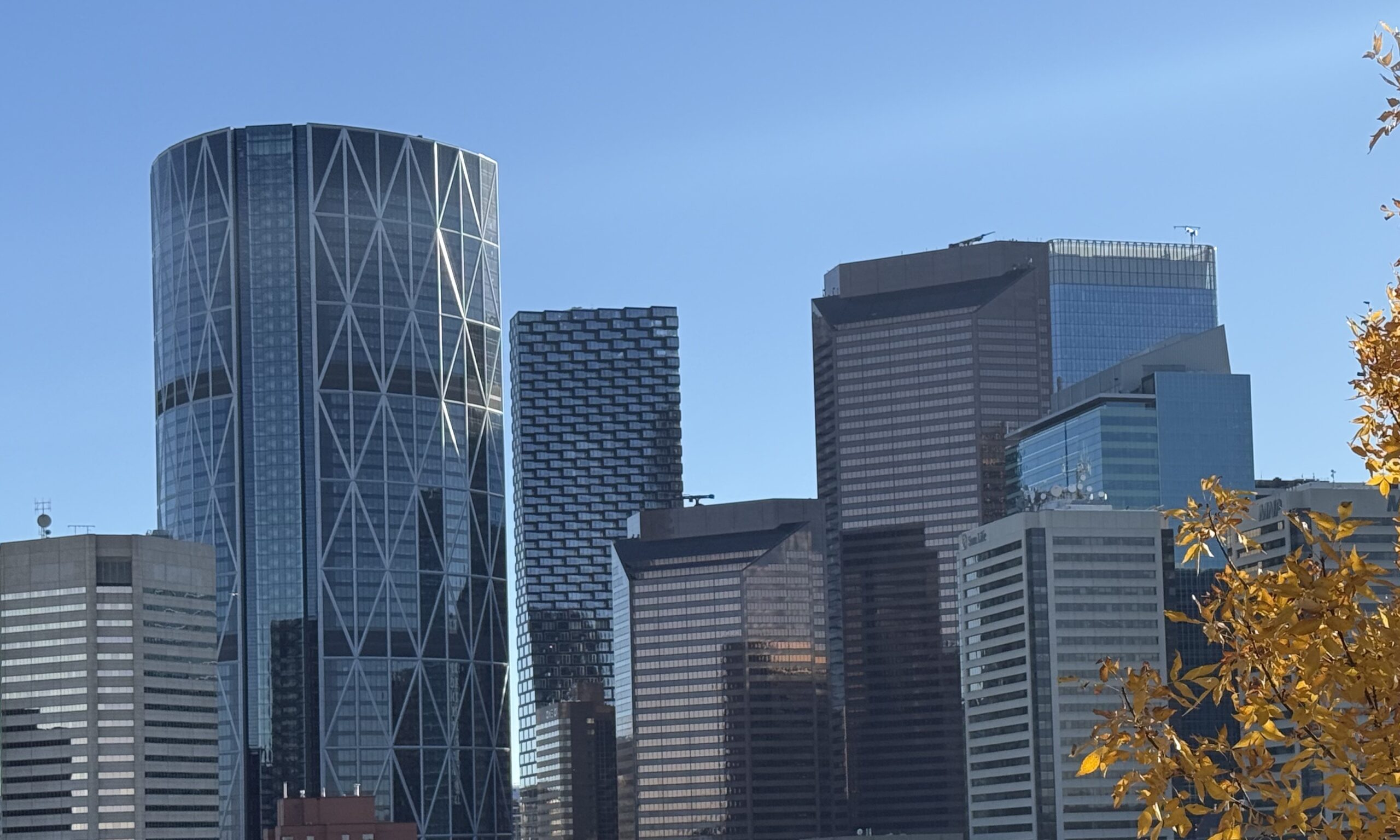Calgary skyline featuring downtown office towers