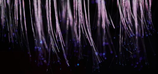 fiber optic network cables